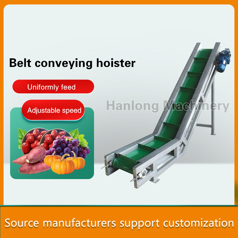 Belt conveying hoister