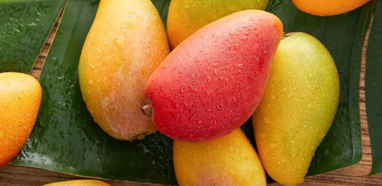 Mango production line
