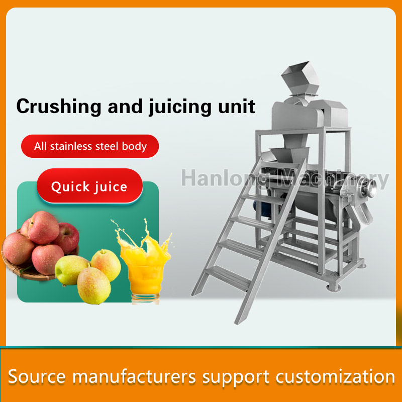 LZ spiral juicing machine stainless steel factory for large and small commercial industrial with filter quick juice fruit crusher and juicer uinit